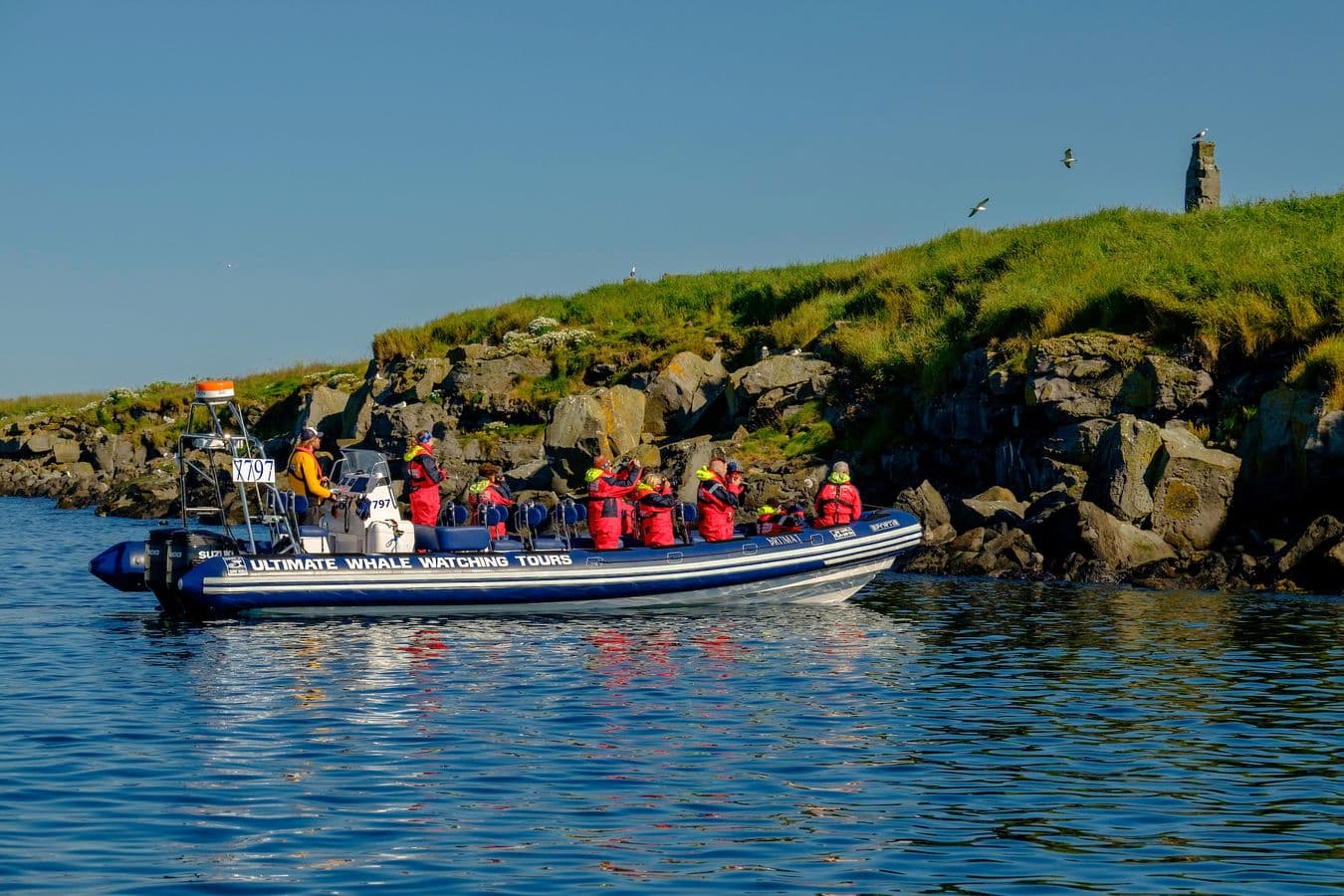 Puffin Tour by RIB Speedboat — Express Tour from Reykjavík: supplier photo 2