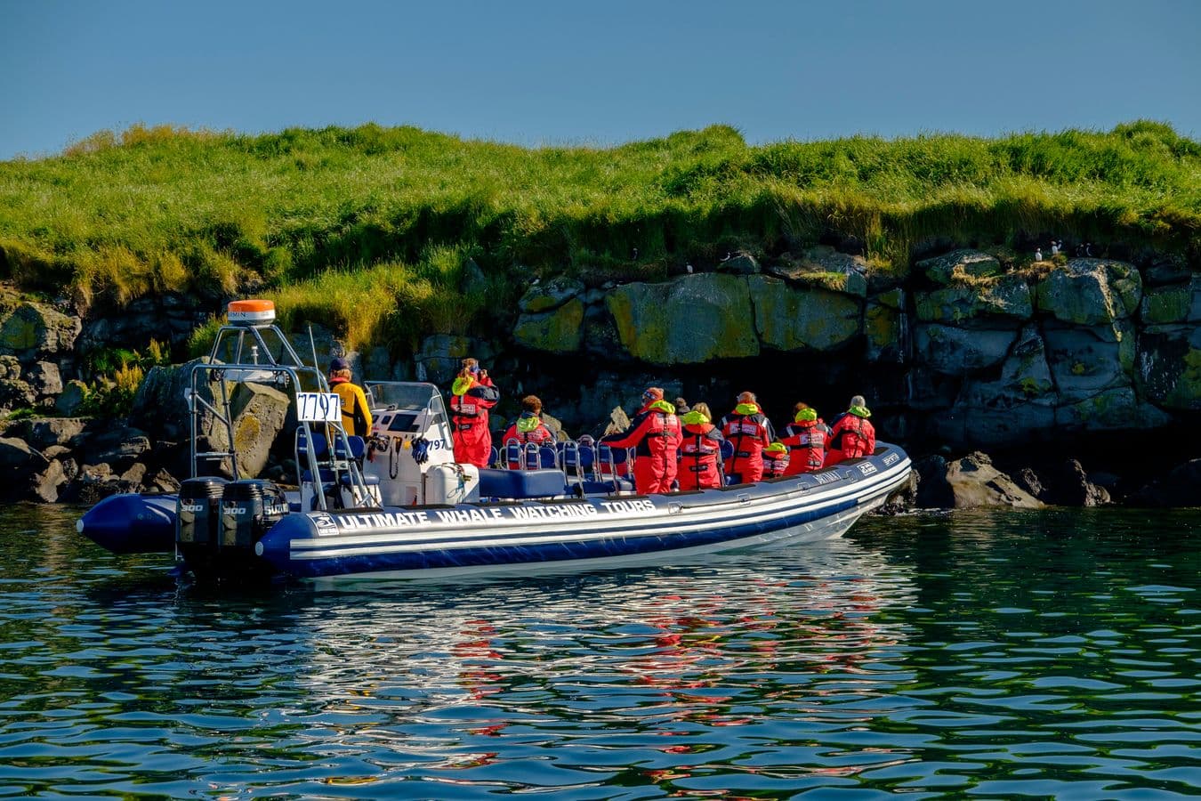 Reykjavik Premium Puffin tour | Close Up and Personal: supplier photo 2