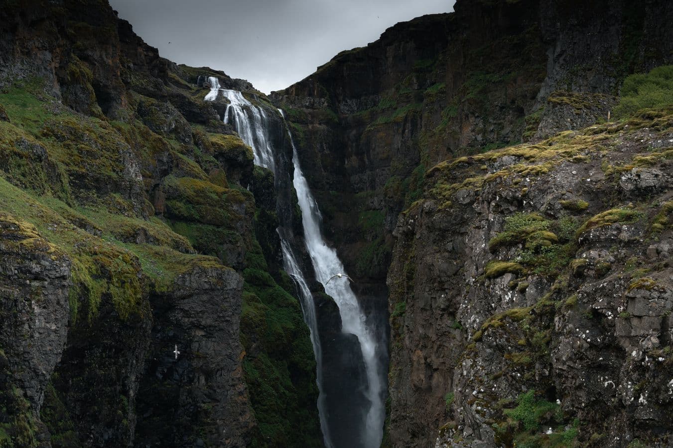 Private Hiking Tour to Glymur Waterfall Scenic Adventure: supplier photo