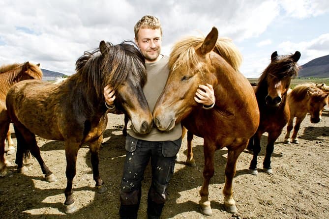 Icelandic Horseback Riding Tour Including Pick Up from Reykjavik: supplier photo 2