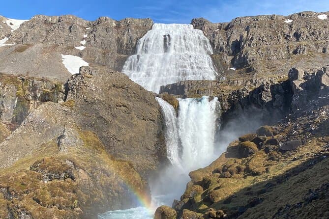 Isafjordur and Westfjords Private Tour: supplier photo 2