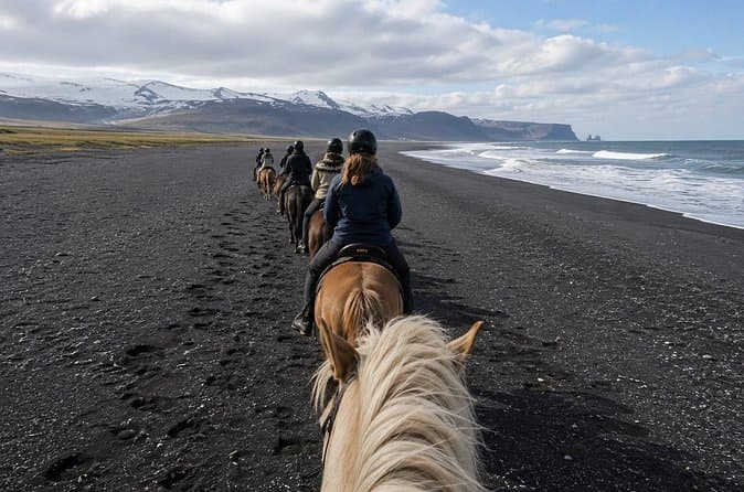 South Iceland Horseback Ride: Black Sand Beach & Glacier Views: photo supplied by the booking partner