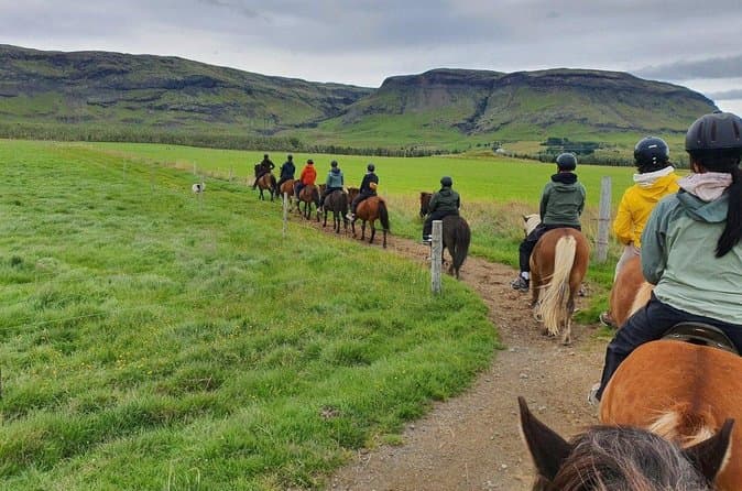 Golden Circle Small Group Tour by Van from Reykjavik: photo supplied by the booking partner