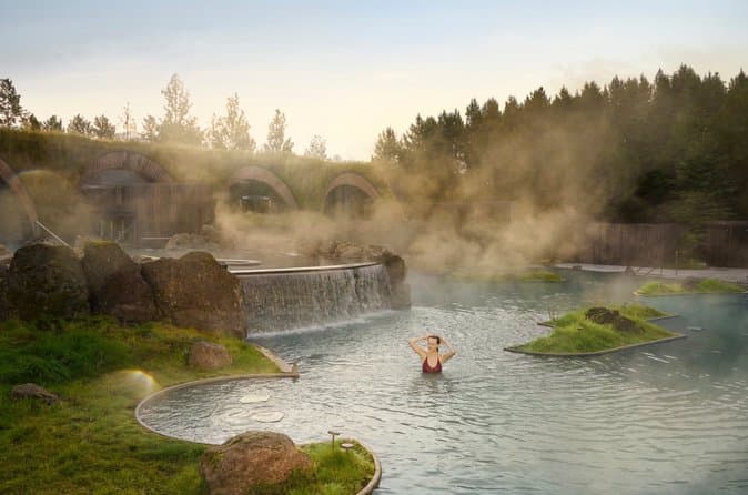 Golden Circle and Laugarás Lagoon Small Group Tour: supplier photo 2