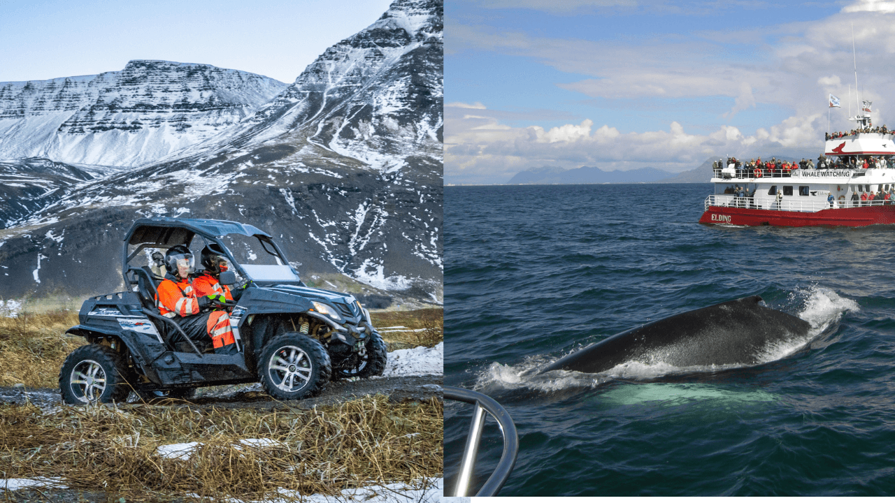 Reykjavik Buggy & Whale Watching Full-Day Adventure: photo supplied by the booking partner