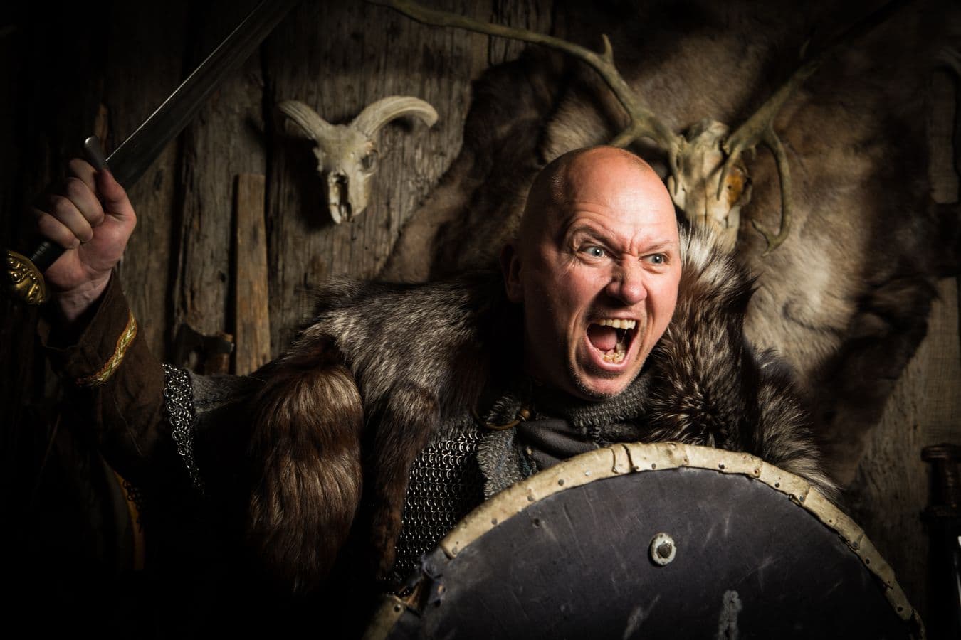 Private Icelandic Viking Age Walking Tour: photo supplied by the booking partner