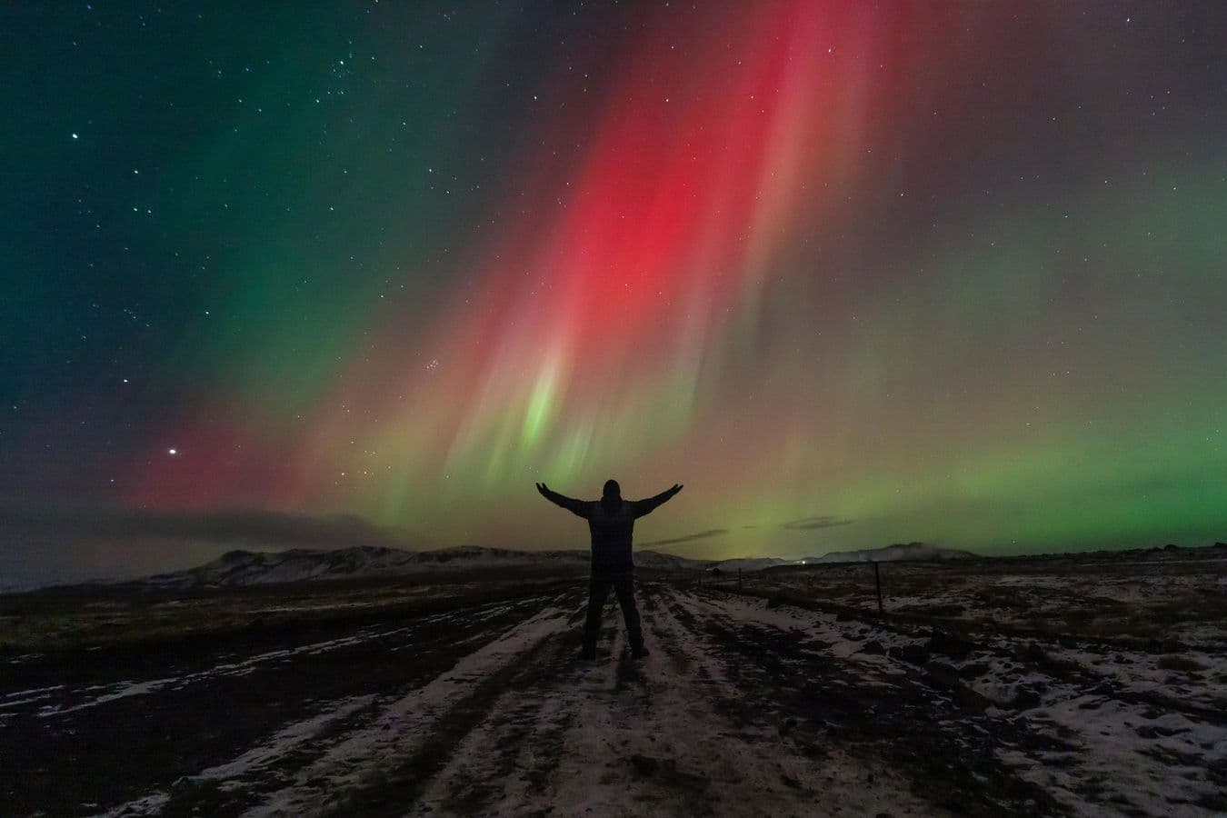 Reykjavik: Guided Northern Lights Tour with Hot Cocoa & Photos: supplier photo 3