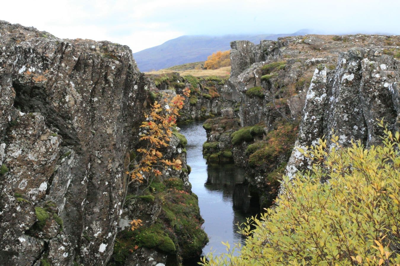 Private Golden Circle Tour from Reykjavik: supplier photo 2