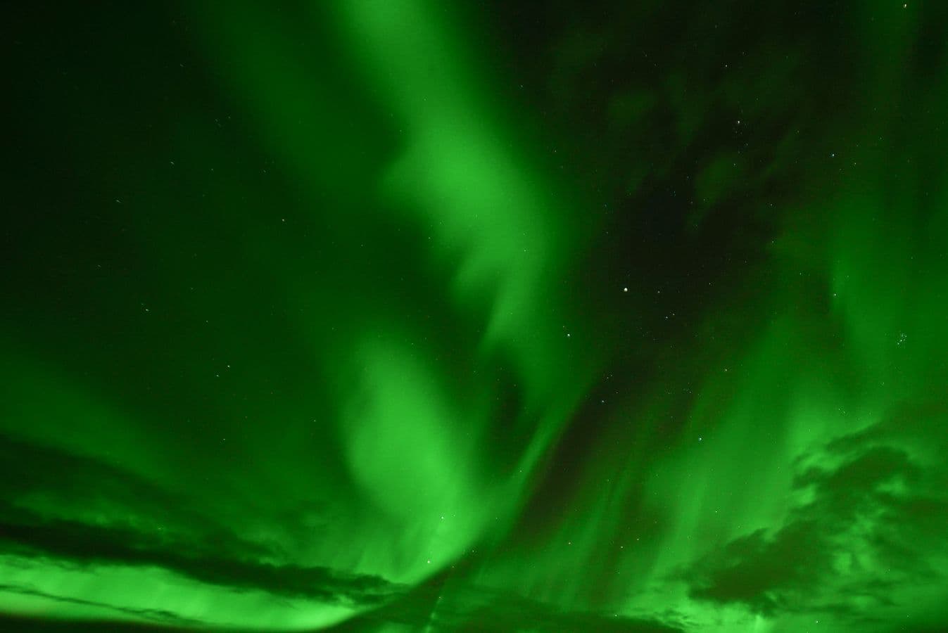 Northern Lights Tour in Minibus from Reykjavik: supplier photo 2