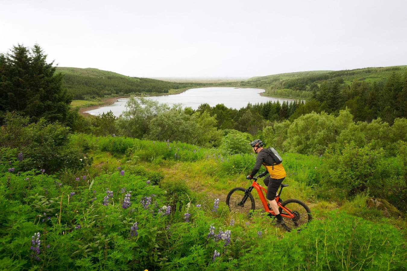 Reykjavik E bike Tour: supplier photo 3