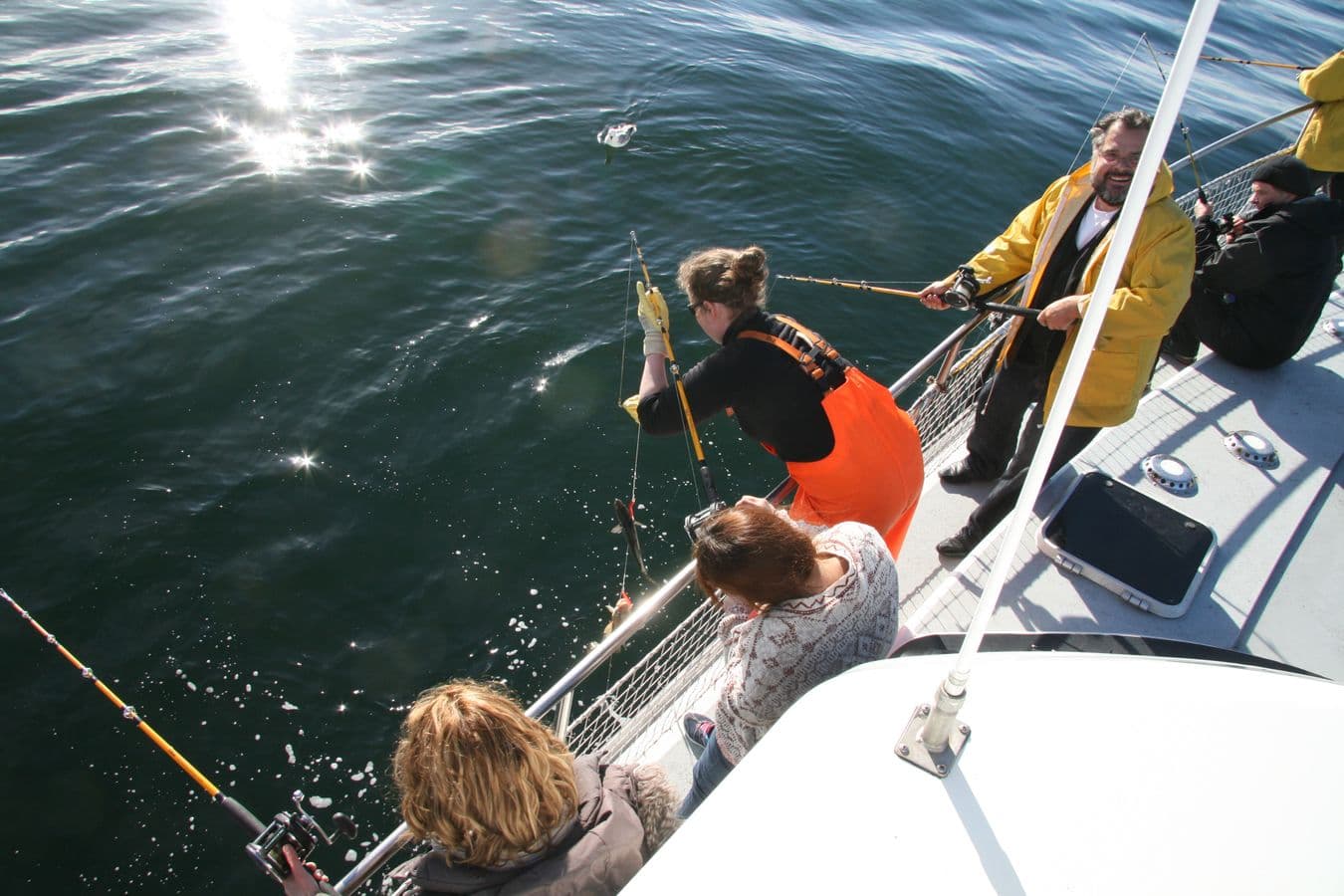 Reykjavik's Finest Catch: Guided Sea Angling Tour for All Levels: supplier photo 2