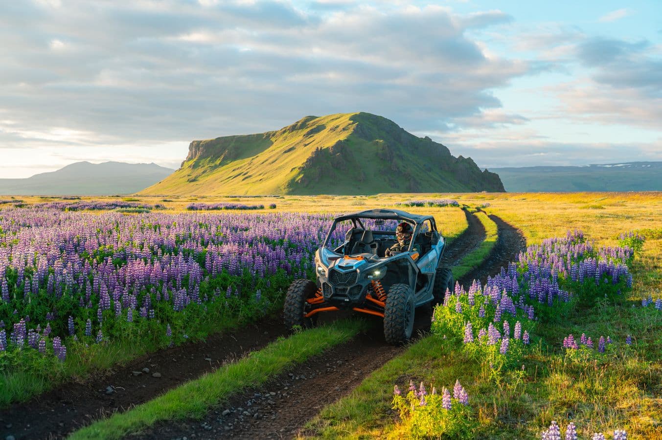 Þórsmörk Buggy Adventure Tour in Southern Iceland: photo supplied by the booking partner