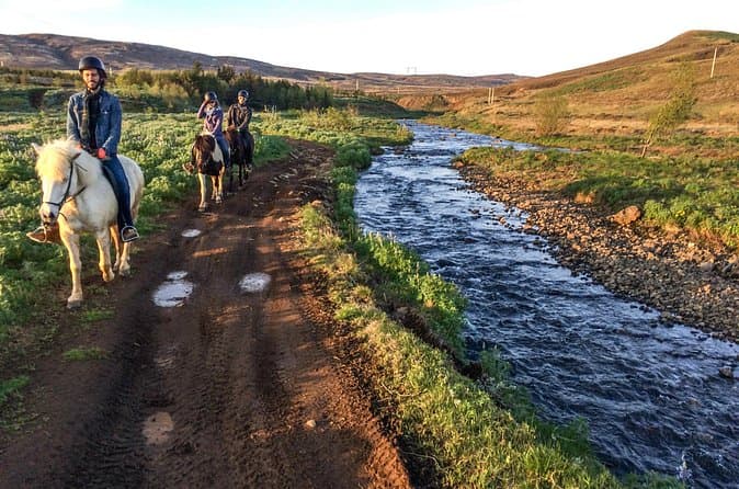 3 hour Private Horse Riding Tour in Mosfellsdalur: supplier photo