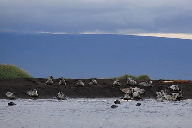 Wild North Iceland Exploration by Super Jeep from Reykjavik: supplier photo