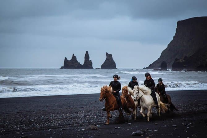 Black Sand Beach Horse Riding Tour from Vik: supplier photo 2