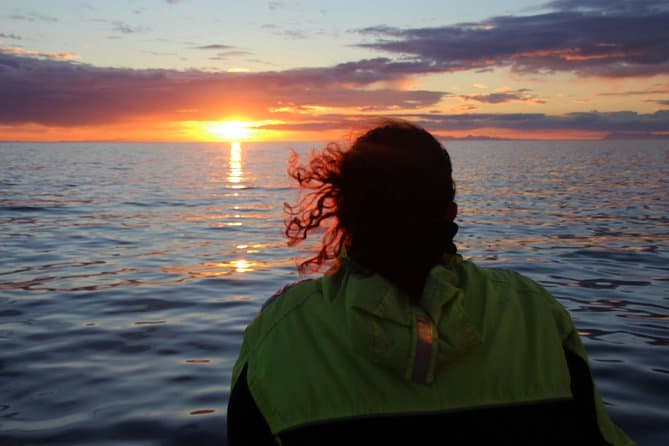 Midnight Sun Whale & Puffin watching from Reykjavik: supplier photo 3