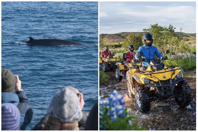 Whale Watching & ATV Adventure from Reykjavik: supplier photo 2