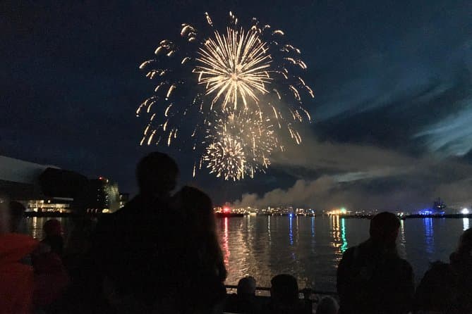 New Year's Eve Fireworks Cruise in Reykjavik: supplier photo 3