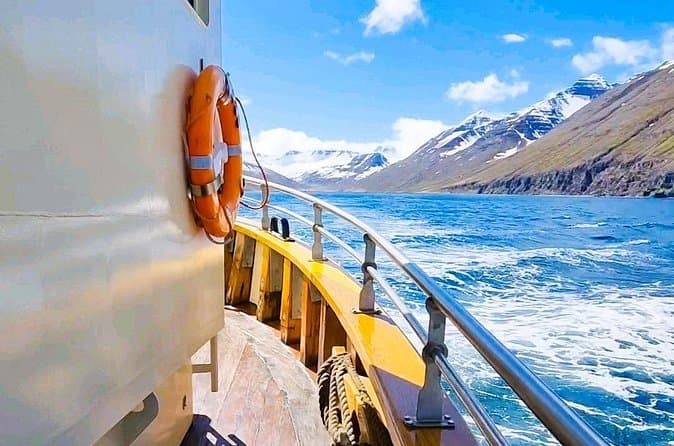 Boat Tours from Siglufjörður: photo supplied by the booking partner