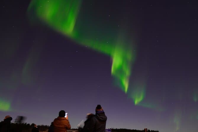 Reykjavik Northern Lights Tour with Pro Aurora Photos Small Group: supplier photo 2