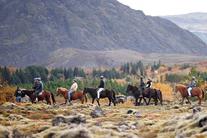 Icelandic Horseback Riding Tour with Pickup Option from Reykjavik: supplier photo 3