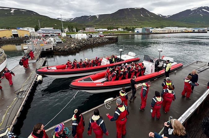 Express Whale Watching in Dalvik close to Akureyri north Iceland: supplier photo 2