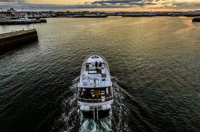 Harbor Cruise with Three Course Dinner from Reykjavik: supplier photo 2