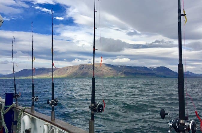 Sunset Fishing Excursion in Faxaflói Bay: supplier photo 2