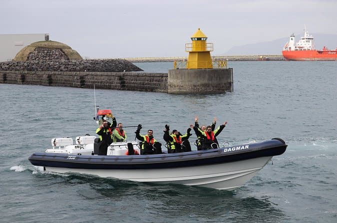 RIB Whale Expedition Speed Adventure: supplier photo 2