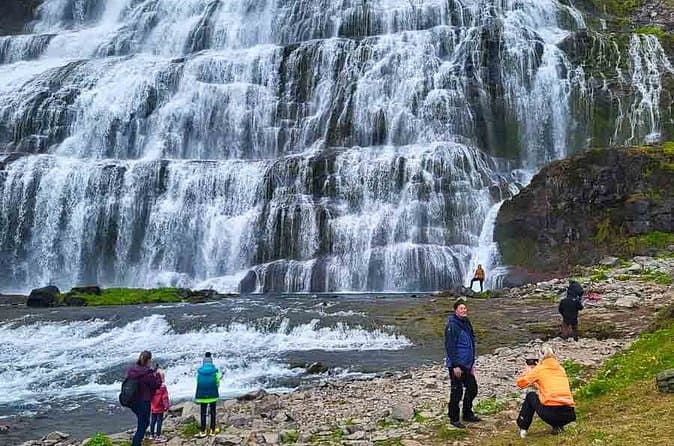 Experience Dynjandi and Icelandic horses from Ísafjörður in German: photo supplied by the booking partner