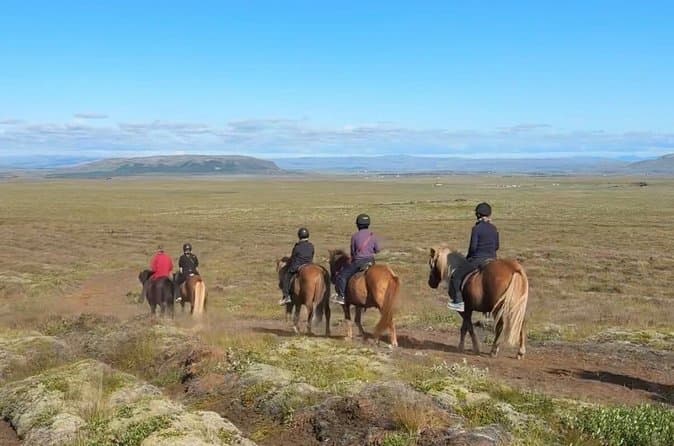 1 Hour Horse Riding Tour with Volcano and Geysir Views: photo supplied by the booking partner