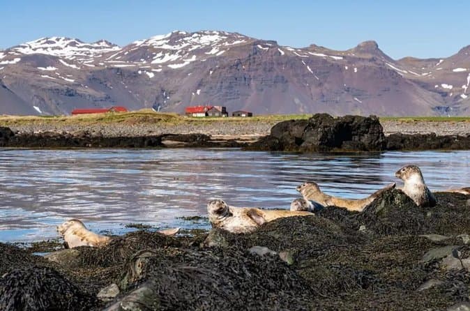 Snæfellsnes Peninsula Private Guided Tour: supplier photo